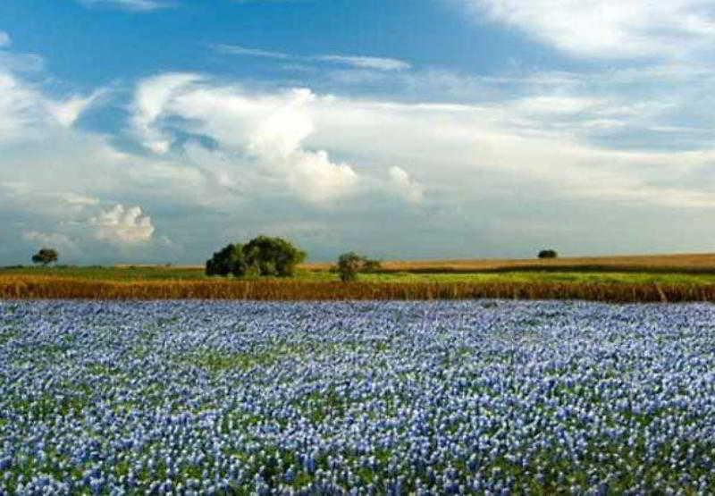 Courtyard Marriott Houston Pearland